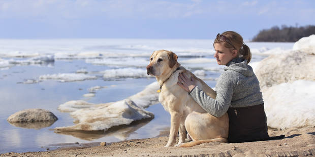 Que Faire De Vos Animaux De Compagnie En Vacances La Libre